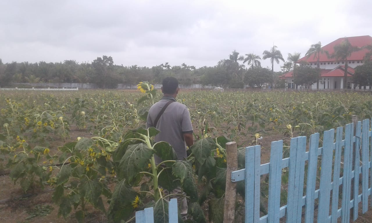 bengkulu selatan