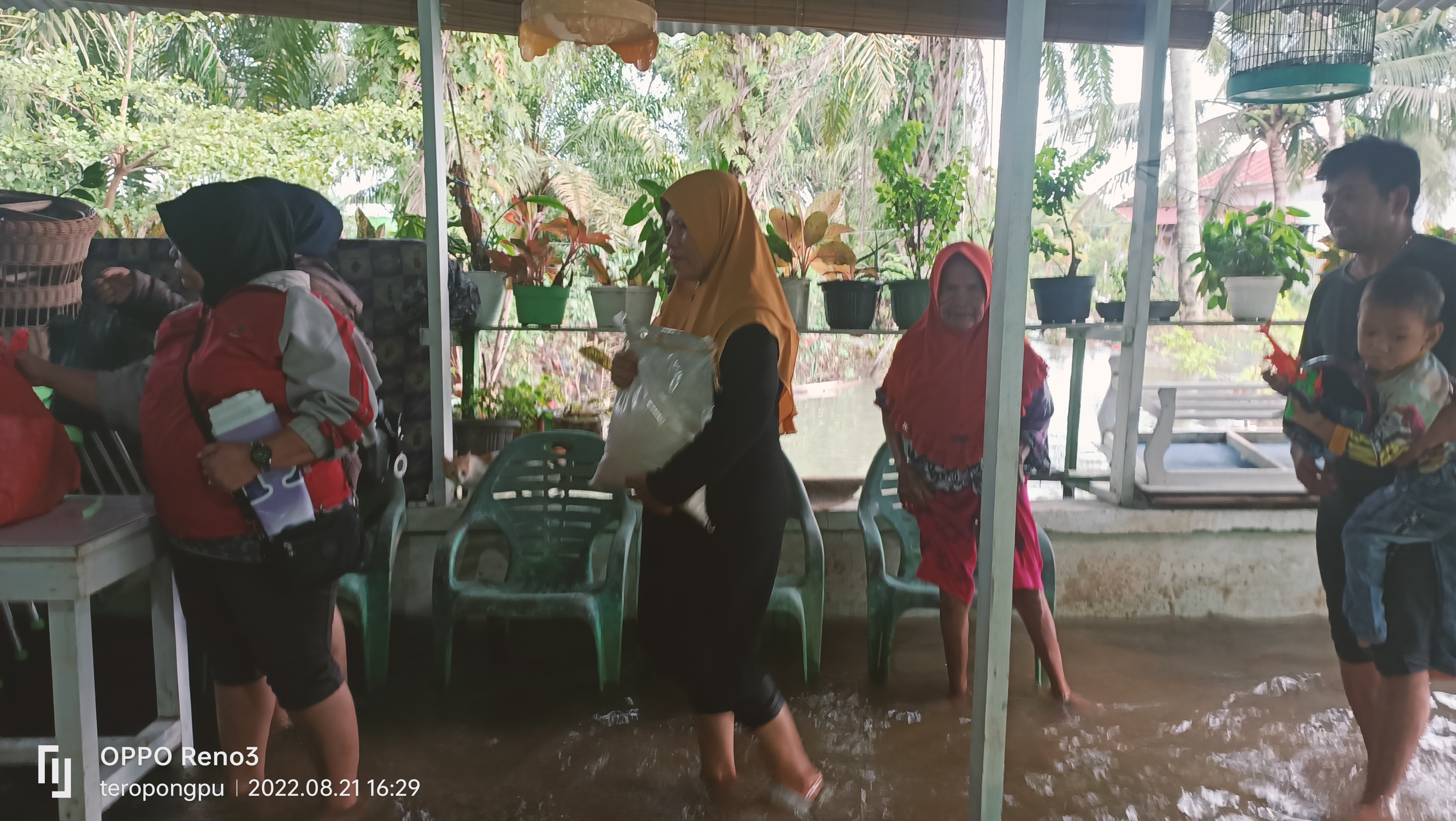 Organisasi Rafflesia Damai Bersatu Berbagai 