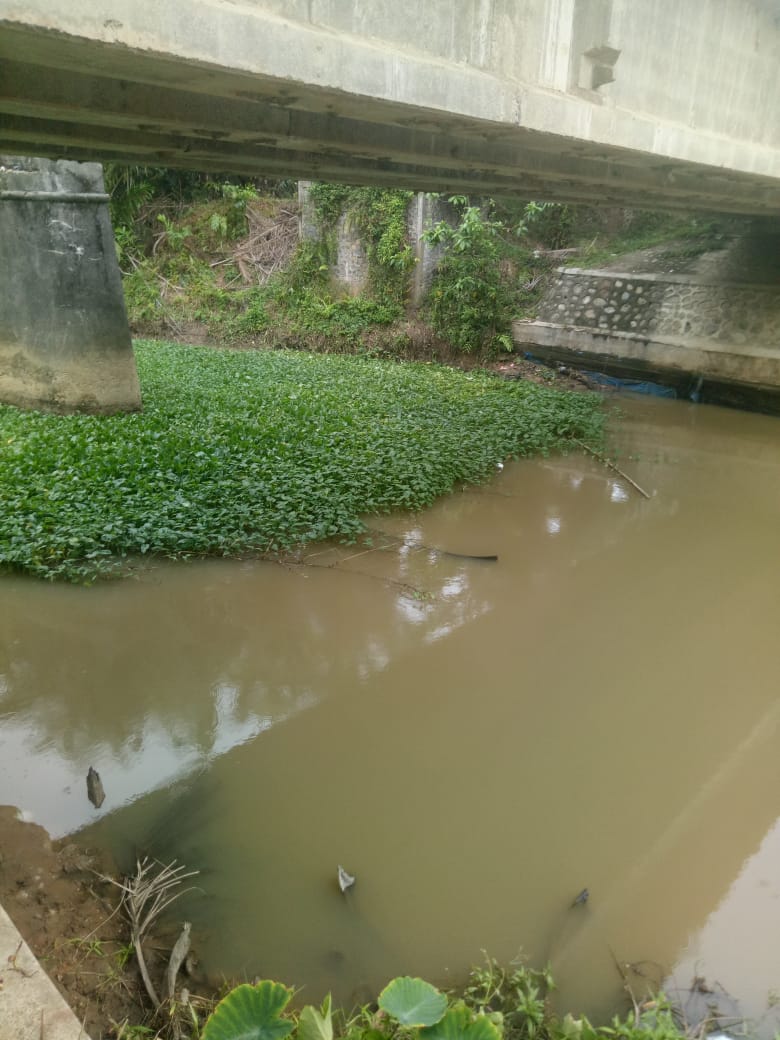 BENGKULU SELATAN